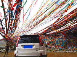 �������ʾ�� �����ش����ʥ������