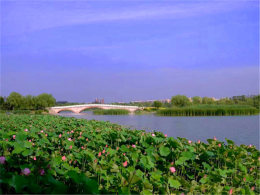 С�ɲ�¶���� ����ʱ�ڹ��Ϻ��ӹ�԰