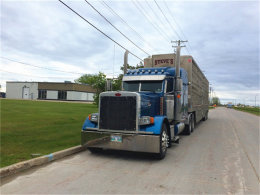 �������ĵļ��� ������ô�����Լ���