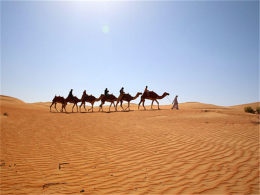 ����һ������ ��а����������ݻ�����