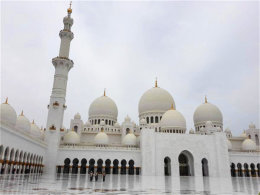 ����һ��ɳĮ֮�� ���ܵϰݰ���������