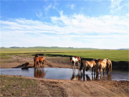 �����µ�һ���ӡ� �����ױ��������ޱ�