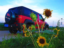 ����̫���߹ҿ��� �����кɻ���������