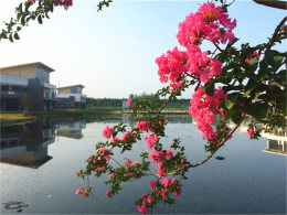 ��ޱ���������� �����л���ޱ԰���ļ�