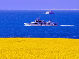 ��ϵ�ƺ�Դͷ ��鰢������ɽ��������