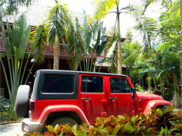 ����������� ������ʥ������˫����