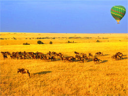 ����������ԭʼ �������������Ȼ���