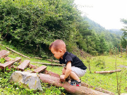 ����Ȼ���ɡ�֮���� ����Ԫ����ɽ����