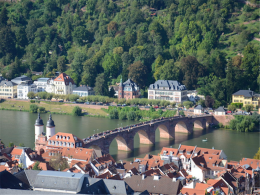 ŷ������� �������������һ����·��