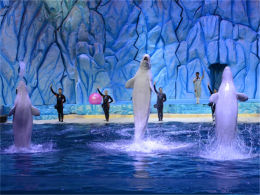 ���ả���ζ�� ������̽�����ؾ�֮��