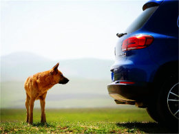 ���ϰ�׷Ѱ�Ҹ� ���ж��������ж��