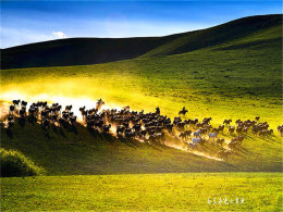 �紵�ݵͼ�ţ�� ������ͳ��ԭһ���޼�