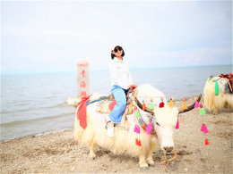 ����18��8200���� �Լ��ຣ�������