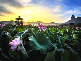 �˾�ֻӦ������ �ѵ�һ���ɻ�ӳ��֮��