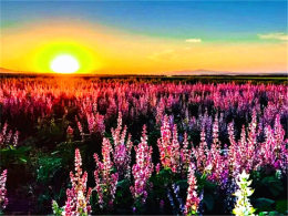 �����������԰� ���������������⽭��