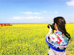 �����¶��˾��� �ຣ���Ͳ˻�εΪ׳��