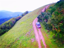 ǿԽҰ������ �϶���ԭ֮����һ������