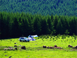 ���ڿ�ѧ֮ǰ ����������һ���Լ���Ӫ