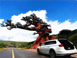 Լ������ʢ�� ǰ����ʲ������ŷ����