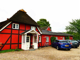 �籾����С���� �Լݡ�ͯ������������