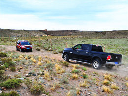 ����� һ�������Լ��½��ա��ⶾ��