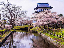 ��������һ������ ������������;�羰