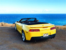 ��ɽ�ǿ���� �������ļ�ʶ�������