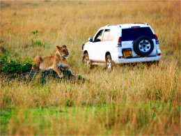 ������Ӵ�Ұ������ �ο����Ǿ��Ķ���