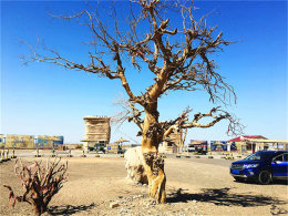 �½���һ��� ȥ�ˡ�����������䲻��