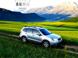 ������ʢ������ Ѱ�ٸ���������������