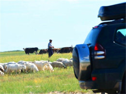 �ϱ��ᴩȫ�й� Զ��������Ѱ��������