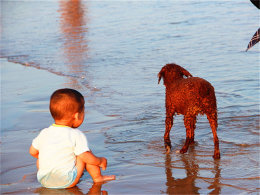 �й�����������֮һ �Լݸ����о�����