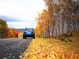 �ڴ�ĺ��Ѱɫ æ��͵��ǰ����ʲ������