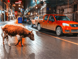 �����Ӱ���ǻ� ���ζ���תת��������