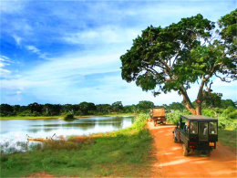 ӡ�����ϵ����� ������;˹������֮��