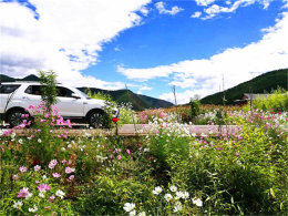 ��ɽ��Ұ��ɣ�� ������������Լݼ���