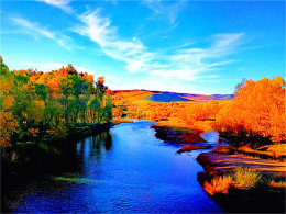 ���㶫���߾� �ڽ�ɫ��������ݳ�����