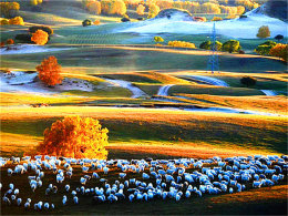 ��������б�� ��������������ͳ���