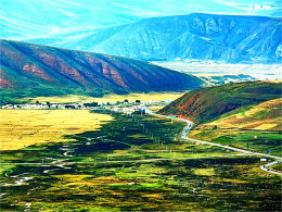 �ϵ۴򷭵�ɫ�� ��������ֻ����Ƭ��ɫ