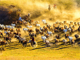 ������ͳ����������� �Ͳ�ԭ�и�Լ��