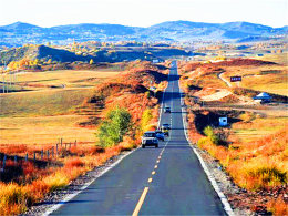 ����������Ŀ���� �Ρ�������������ͳ