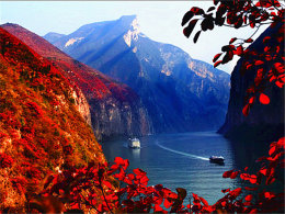 ����ɽ�����೤ ��Ͽ�˼������겻���