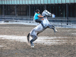 ��������Ʒζ���� �ݰ���ȥ����Ѫ����