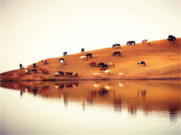 ����ħ�������Ͷ�� �½�֮��Բ���չ�