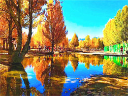 �����˼����� ������������������Բ��