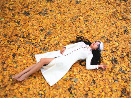 �������ӻ�Ҷ�������� ������ظ�ɹ�