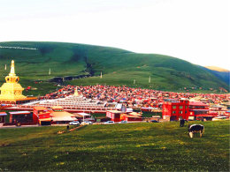 �����𺳲����� 2017��������������Ը