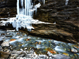 �ܽ�Ի�չ��δ�� ����۳��������ɽ