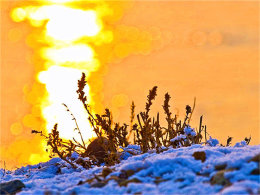 ��ɫ�����ɫ���� ��ڡ���ճ�����ĺĺ