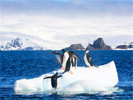 ������ѩɽ֮�� �ִ����羡ͷ��˹����